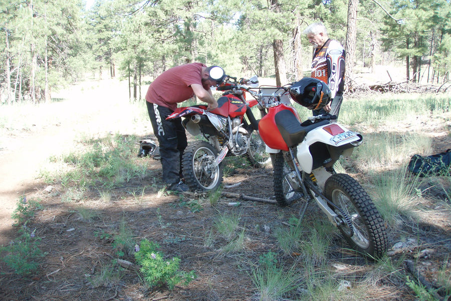 Coconino Trail Riders Northern Arizona S Single Track Community